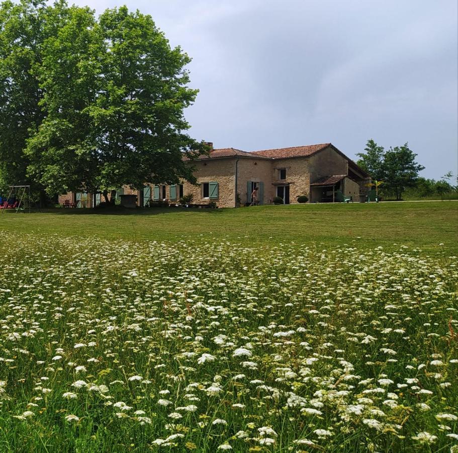 Le Haut Sechoir Buzet-sur-Baise Exteriér fotografie